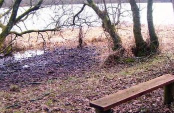 Executive Lakeside Lodge at Mullans Bay - Foto 34