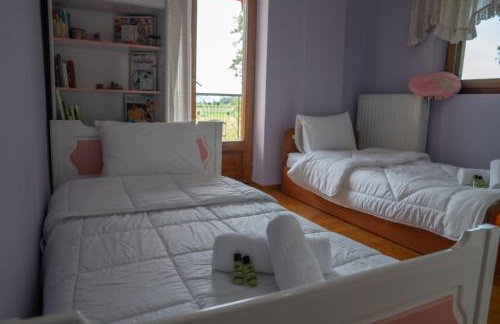 Nikola's Garden - Foto 19