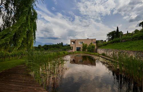 Weingut Stuck - Foto 38