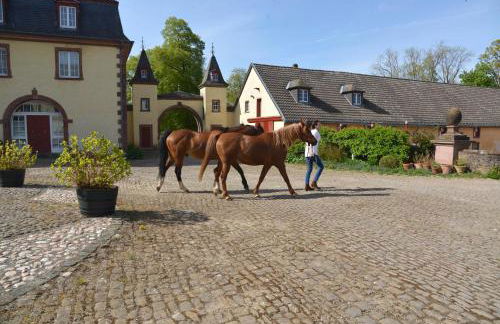 La Maison im Park von Schloss Schmidtheim - Foto 27