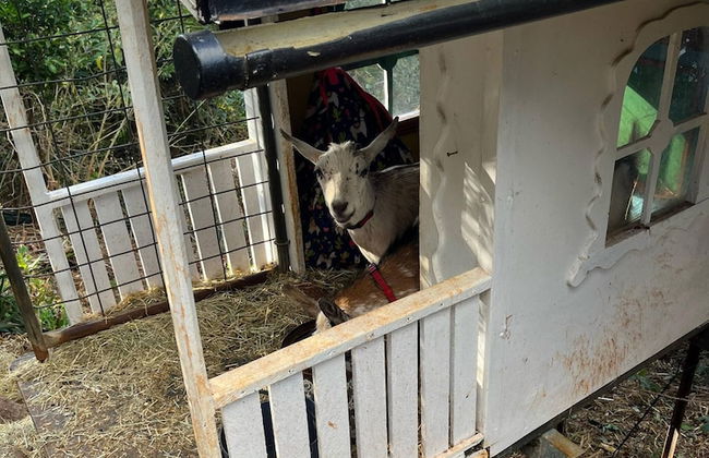 Belvedere Summer House - Foto 54