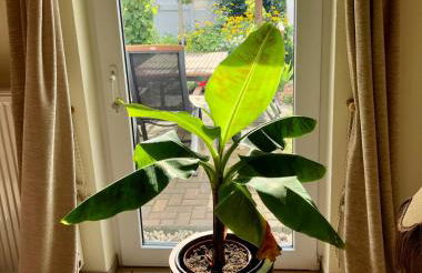 FERIENHAUS ANNEMARIE - Foto 10