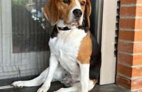 Casa vacanze Gemma Toscana - Foto 2