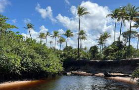 Casa incrível e aconchegante em Barra Grande - BA, Ponta do Mutá, em condomínio com excelente localização à 5 minutos da PRAIA e dos melhores BEACH CLUBS, próximo ao charmoso centrinho de Barra Grande e comércios - Foto 42