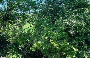 Niamh's Place - Foto 27