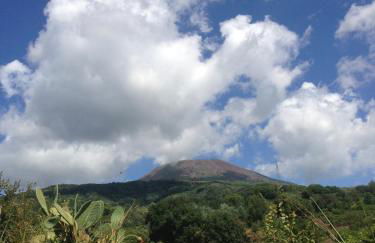 Domus Agricolae Corallina - Foto 39
