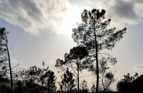 Holiday Home Villa mit privatem Pool - Casa da Bananeira by Interhome - Photo 18