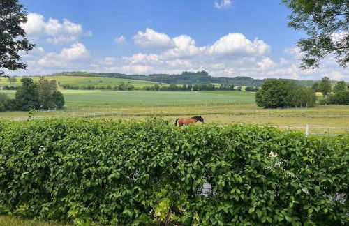 Eifel-Quartier - Foto 19