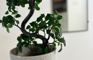 Studio lumineux sans vis a vis avec balcon privé - Foto 28