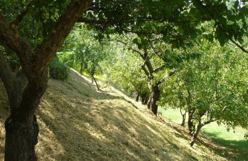 Podere Sionne - Foto 58