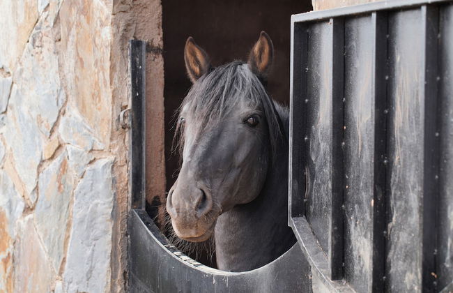 The Ranch resort - Foto 75