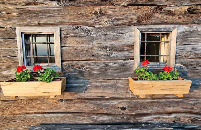 Vineyard cottage Vinska grajska kašča - Foto 36