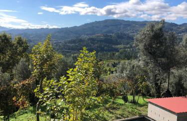 Casa das Fragas - Foto 17