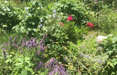 Historisches Pfarrhaus Nähe Schloss Neuschwanstein - Foto 16