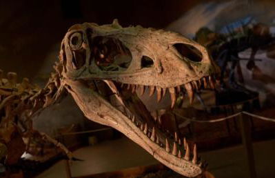 Top Property, Fishermen, Pool Passes, One Minute To The Hot Springs, Location Perfect & Amenity Rich, Pup Friendly, Discover An Exceptional Wyoming Stay, Thermopolis River Walk Home at Hot Springs State Park, 'Where Families and Fisherman Stay' - Foto 63