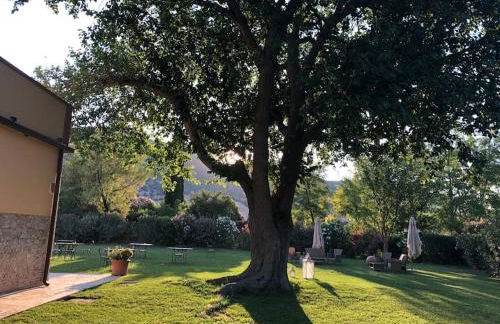 Agriturismo Relais Villa Passerini - Foto 18