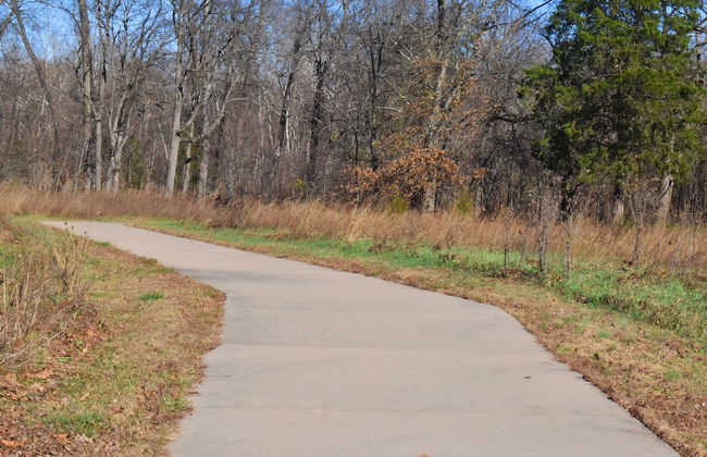 Johnson's Shut-ins State Park - Foto 23