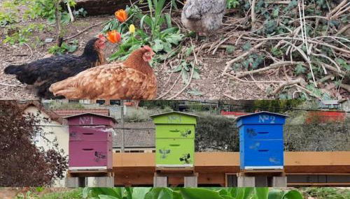 La maison Laborey, gîte 4 étoiles avec piscine - Foto 2
