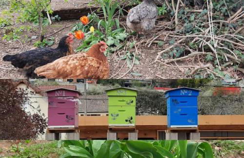 La maison Laborey, gîte 4 étoiles avec piscine - Foto 2