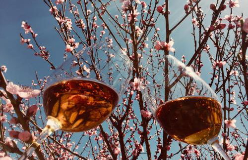 Villa "Corte de' Baldi" - Foto 58