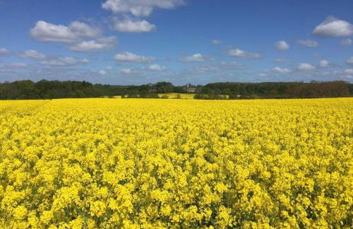 Ferienwohnung Nordglück - Foto 15