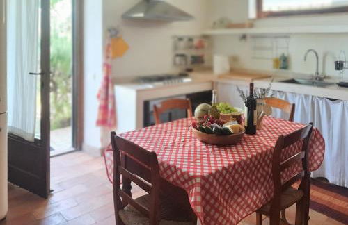 IL CASALE DEGLI ULIVI- Splendido casale panoramico con piscina a 30 min da Roma GRA - Foto 12