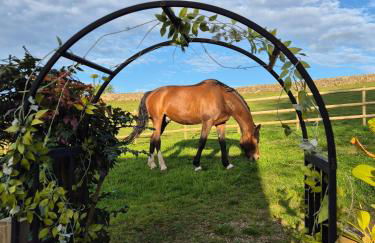 Luxury Peak District stay set in private land with horses and country Pub - Dog Friendly - Foto 12