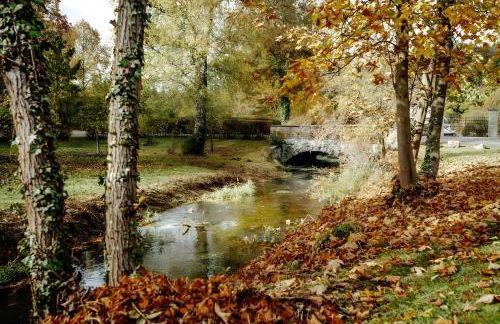 Fewo Waldfeeling - Foto 16