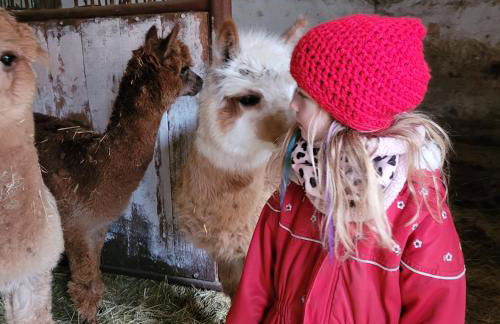 Märchenhaft urlauben auf dem Alpakahof - Foto 49