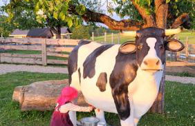 Siedlisko Bogdanka - Foto 6