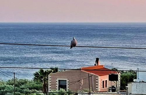 Apartments With Garden View, Creta, Ierapetra - Foto 77