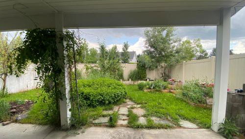 Grizzly Glacier - Foto 2