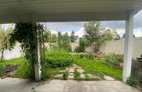 Grizzly Glacier - Foto 2