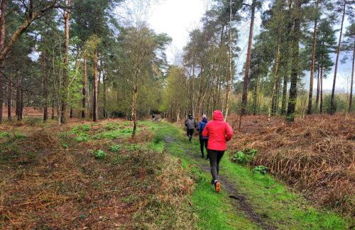 Well-equipped Apartment at Westerlands Farm - Foto 48