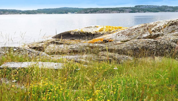 4 Person Holiday Home in Lysekil-by Traum - Foto 4, Varie