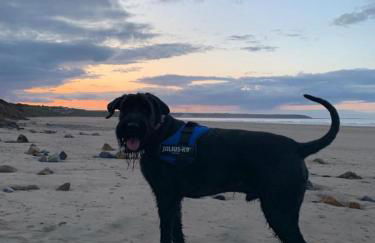 2 Bed Bungalow - Sleeps 4 - Pets - Parking - Wifi - Foto 13