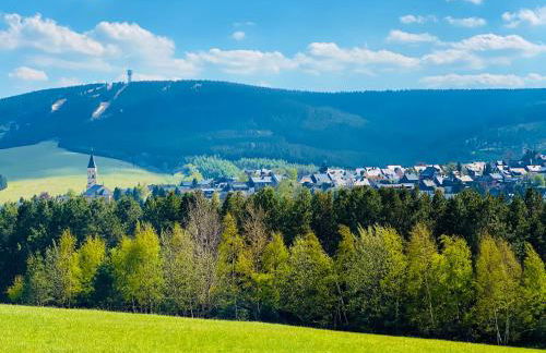 Ferienwohnung-direkt-am-Skihang mit Sauna - Foto 54
