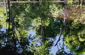 PousadafaroldoRionegro - Foto 2