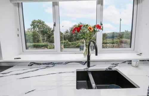 Ellis House - Foto 9