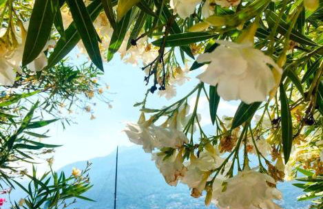 Casa Didi & Rosi - Lake Como - Foto 16