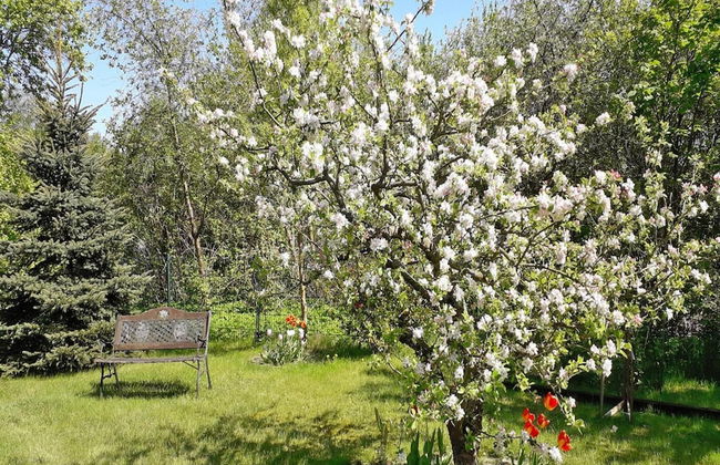 Grosszugiges Ferienhaus in Bad Saarow - Foto 12