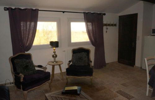 Gîtes Equestres Lou Caloun - Les Saintes Maries de la Mer - Foto 47