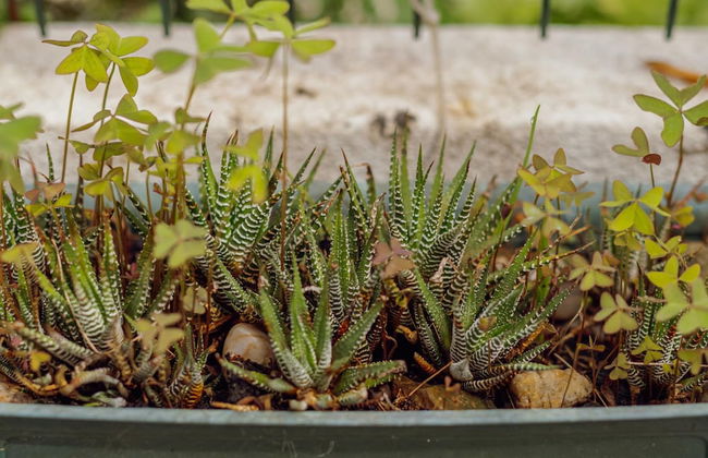 Pateo IN Lapa City Center by Vacationy - Foto 44