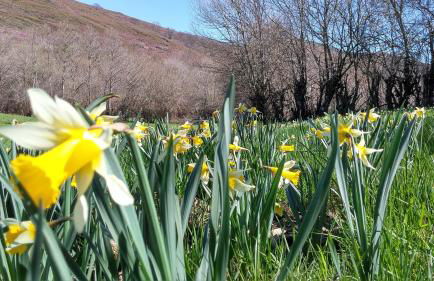 Casa Turismo Rural O FILANDÓN - Foto 43
