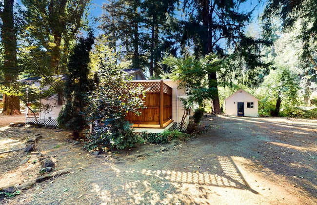 Rouge Cobb Mountain Cabins - Photo 49