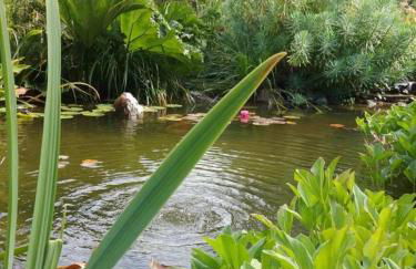 Gîte Gîtes de France® - Le Nid d'Hirondelles - Foto 24