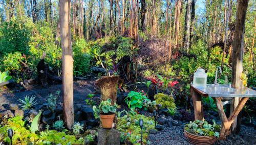 Exotic Garden cottage at amazing volcano fissure - Foto 2