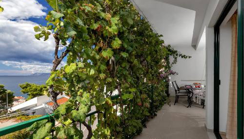 Apartmani Antonela - Foto 4