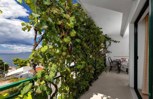 Apartmani Antonela - Photo 4