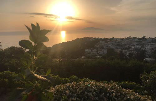 Agriturismo del Sole - Foto 43